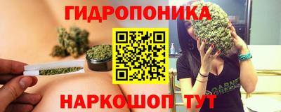 гашик Будённовск