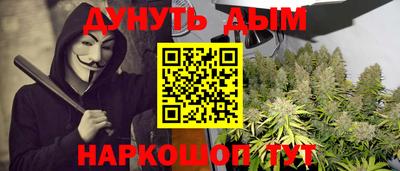 гашик Будённовск
