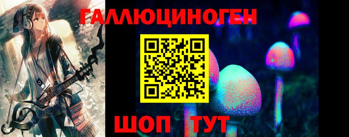 Псилоцибиновые грибы GOLDEN TEACHER  цены наркотик  Раменское  Псилоцибиновые грибы Psilocybe  Вход с VPN 